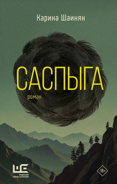 Саспыга - Карина Шаинян - современные аудиокниги попаданцы мр3 слушать на лучшем сайте booksaudio-online.com