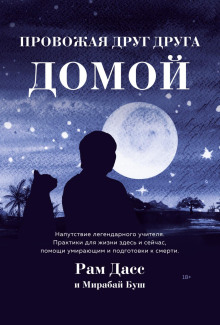 Провожая друг друга домой - Рам Дасс - современные аудиокниги попаданцы мр3 слушать на лучшем сайте booksaudio-online.com
