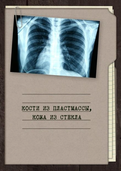 Кости из пластмассы, кожа из стекла - Георгий Апальков - современные аудиокниги попаданцы мр3 слушать на лучшем сайте booksaudio-online.com