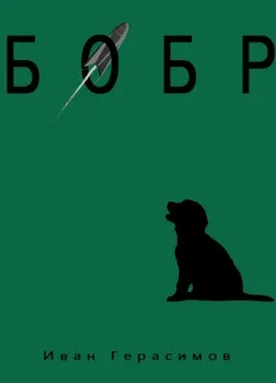 Бобр - Иван Герасимов - современные аудиокниги попаданцы мр3 слушать на лучшем сайте booksaudio-online.com