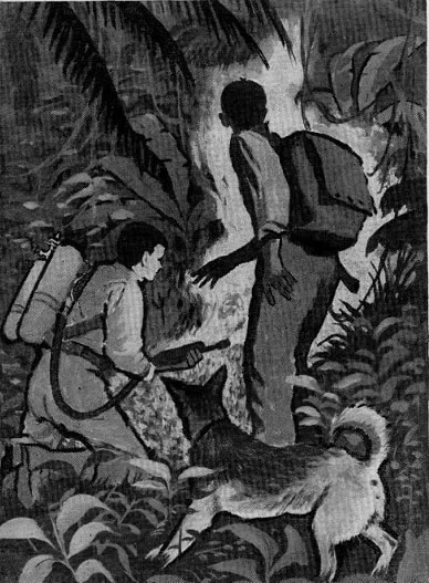 Новичок в космосе - Роберт Хайнлайн - современные аудиокниги попаданцы мр3 слушать на лучшем сайте booksaudio-online.com