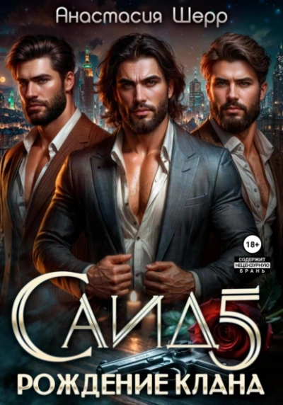 Саид 5. Рождение клана - Анастасия Шерр - современные аудиокниги попаданцы мр3 слушать на лучшем сайте booksaudio-online.com