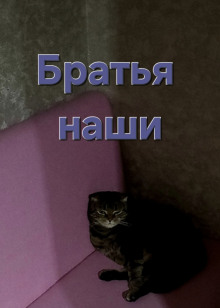 Братья наши - Светоч - современные аудиокниги попаданцы мр3 слушать на лучшем сайте booksaudio-online.com