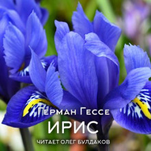 Ирис - Герман Гессе - современные аудиокниги попаданцы мр3 слушать на лучшем сайте booksaudio-online.com
