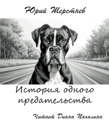 История одного предательства - Юрий Шерстнёв - современные аудиокниги попаданцы мр3 слушать на лучшем сайте booksaudio-online.com