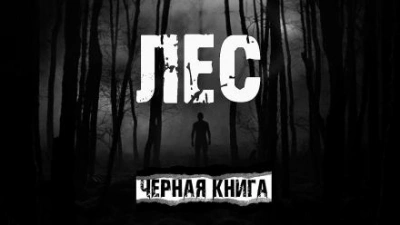 Лес - AkimSARR - современные аудиокниги попаданцы мр3 слушать на лучшем сайте booksaudio-online.com