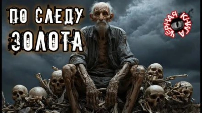 По следу золота - Наталья Шувалова - современные аудиокниги попаданцы мр3 слушать на лучшем сайте booksaudio-online.com
