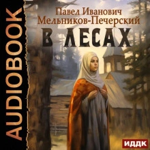 В лесах - Андрей Печерский - современные аудиокниги попаданцы мр3 слушать на лучшем сайте booksaudio-online.com