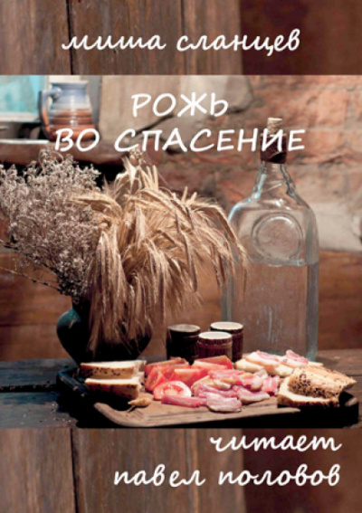Рожь во спасение - Миша Сланцев - современные аудиокниги попаданцы мр3 слушать на лучшем сайте booksaudio-online.com