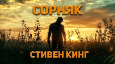 Сорняк - Стивен Кинг - современные аудиокниги попаданцы мр3 слушать на лучшем сайте booksaudio-online.com