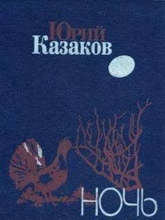 Ночь - Юрий Казаков - современные аудиокниги попаданцы мр3 слушать на лучшем сайте booksaudio-online.com