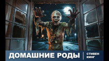 Домашние роды - Стивен Кинг - современные аудиокниги попаданцы мр3 слушать на лучшем сайте booksaudio-online.com