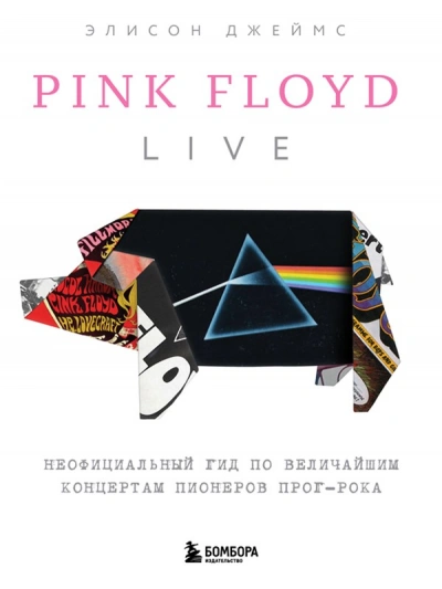 Pink Floyd Live: Неофициальный гид по величайшим концертам пионеров прог-рока - Элисон Джеймс - современные аудиокниги попаданцы мр3 слушать на лучшем сайте booksaudio-online.com