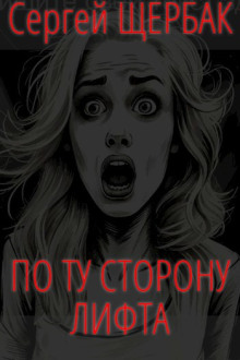 По ту сторону лифта - Сергей Щербак - современные аудиокниги попаданцы мр3 слушать на лучшем сайте booksaudio-online.com