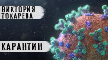 Карантин - Виктория Токарева - современные аудиокниги попаданцы мр3 слушать на лучшем сайте booksaudio-online.com