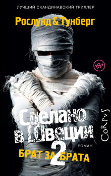 Брат за брата - Андерс Рослунд - современные аудиокниги попаданцы мр3 слушать на лучшем сайте booksaudio-online.com