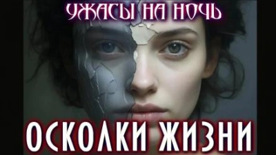 Осколки жизни - Мэтт Димерски - современные аудиокниги попаданцы мр3 слушать на лучшем сайте booksaudio-online.com