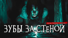 Зубы за стеной - Татьяна Осипова - современные аудиокниги попаданцы мр3 слушать на лучшем сайте booksaudio-online.com