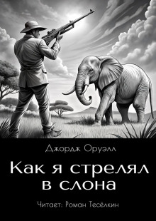 Как я стрелял в слона - Джордж Оруэлл - современные аудиокниги попаданцы мр3 слушать на лучшем сайте booksaudio-online.com