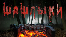 Шашлыки - Юрий Крутиков - современные аудиокниги попаданцы мр3 слушать на лучшем сайте booksaudio-online.com