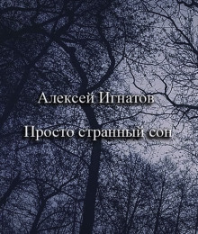 Просто странный сон - Алексей Игнатов - современные аудиокниги попаданцы мр3 слушать на лучшем сайте booksaudio-online.com