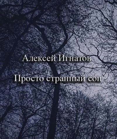 Просто странный сон - Алексей Игнатов - современные аудиокниги попаданцы мр3 слушать на лучшем сайте booksaudio-online.com