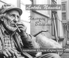 Холодец деда Василия - Любовь Папета - современные аудиокниги попаданцы мр3 слушать на лучшем сайте booksaudio-online.com