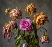 Их на могилу стыдно положить - Артур Алехин - современные аудиокниги попаданцы мр3 слушать на лучшем сайте booksaudio-online.com