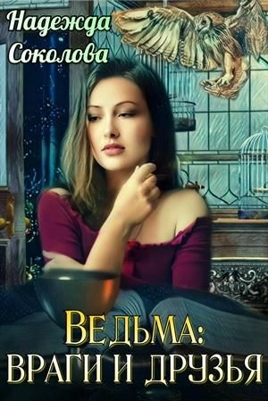 Ведьма: враги и друзья - Надежда Соколова - современные аудиокниги попаданцы мр3 слушать на лучшем сайте booksaudio-online.com