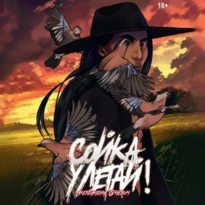 Сойка, улетай! - Александра Огневич - современные аудиокниги попаданцы мр3 слушать на лучшем сайте booksaudio-online.com