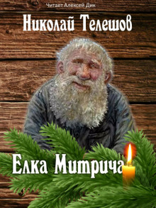 Елка Митрича - Николай Телешов - современные аудиокниги попаданцы мр3 слушать на лучшем сайте booksaudio-online.com