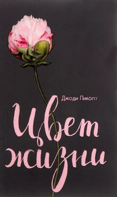 Цвет Жизни - Джоди Пиколт - современные аудиокниги попаданцы мр3 слушать на лучшем сайте booksaudio-online.com
