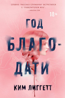 Год благодати - Ким Лиггетт - современные аудиокниги попаданцы мр3 слушать на лучшем сайте booksaudio-online.com