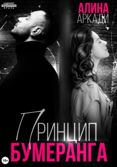 Принцип бумеранга - Алина Аркади - современные аудиокниги попаданцы мр3 слушать на лучшем сайте booksaudio-online.com