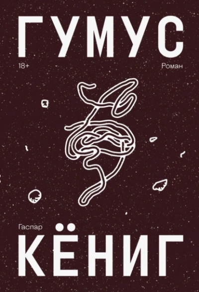 Гумус - Гаспар Кёниг - современные аудиокниги попаданцы мр3 слушать на лучшем сайте booksaudio-online.com