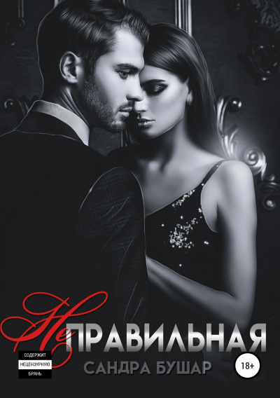 Неправильная - Сандра Бушар - современные аудиокниги попаданцы мр3 слушать на лучшем сайте booksaudio-online.com
