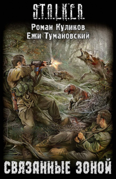 Связанные Зоной. S.T.A.L.K.E.R. - Ежи Тумановский, Роман Куликов - современные аудиокниги попаданцы мр3 слушать на лучшем сайте booksaudio-online.com