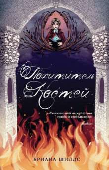 Похититель костей - Бриана Шилдс - современные аудиокниги попаданцы мр3 слушать на лучшем сайте booksaudio-online.com
