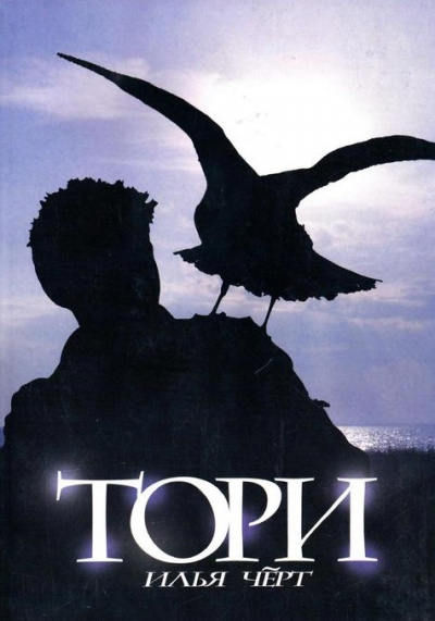 Тори - Илья Черт - современные аудиокниги попаданцы мр3 слушать на лучшем сайте booksaudio-online.com