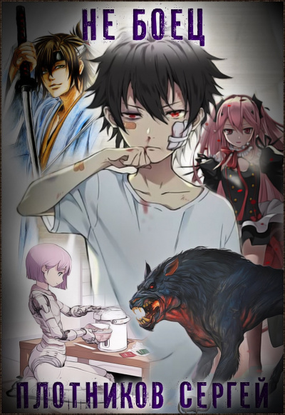 Не Боец - Сергей Плотников - современные аудиокниги попаданцы мр3 слушать на лучшем сайте booksaudio-online.com