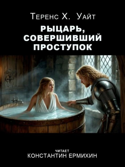 Рыцарь, совершивший проступок - Теренс Хэнбери Уайт - современные аудиокниги попаданцы мр3 слушать на лучшем сайте booksaudio-online.com