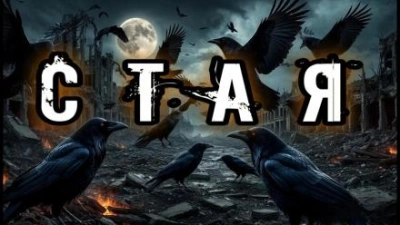 Стая - Валентина Сенчукова - современные аудиокниги попаданцы мр3 слушать на лучшем сайте booksaudio-online.com