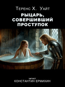 Рыцарь, совершивший проступок - Теренс Хэнбери Уайт - современные аудиокниги попаданцы мр3 слушать на лучшем сайте booksaudio-online.com