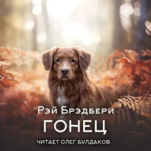 Гонец - Рэй Брэдбери - современные аудиокниги попаданцы мр3 слушать на лучшем сайте booksaudio-online.com