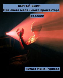 При свете маленького прожектора - Сергей Есин - современные аудиокниги попаданцы мр3 слушать на лучшем сайте booksaudio-online.com