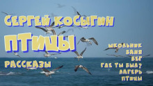 Сборник рассказов - Сергей Косыгин - современные аудиокниги попаданцы мр3 слушать на лучшем сайте booksaudio-online.com