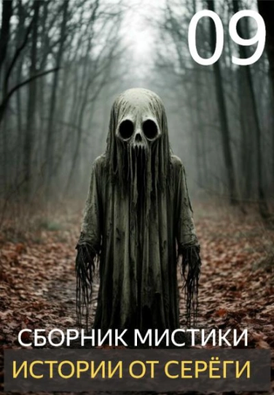 Истории от Серёги 9 - современные аудиокниги попаданцы мр3 слушать на лучшем сайте booksaudio-online.com
