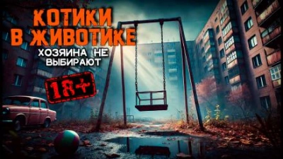 Котики в животике - Василий Завадский - современные аудиокниги попаданцы мр3 слушать на лучшем сайте booksaudio-online.com