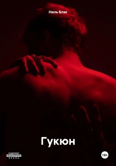 Гукюн - Ниль Блэк - современные аудиокниги попаданцы мр3 слушать на лучшем сайте booksaudio-online.com