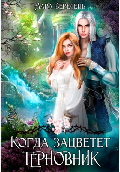 Когда зацветет терновник - Мара Вересень - современные аудиокниги попаданцы мр3 слушать на лучшем сайте booksaudio-online.com